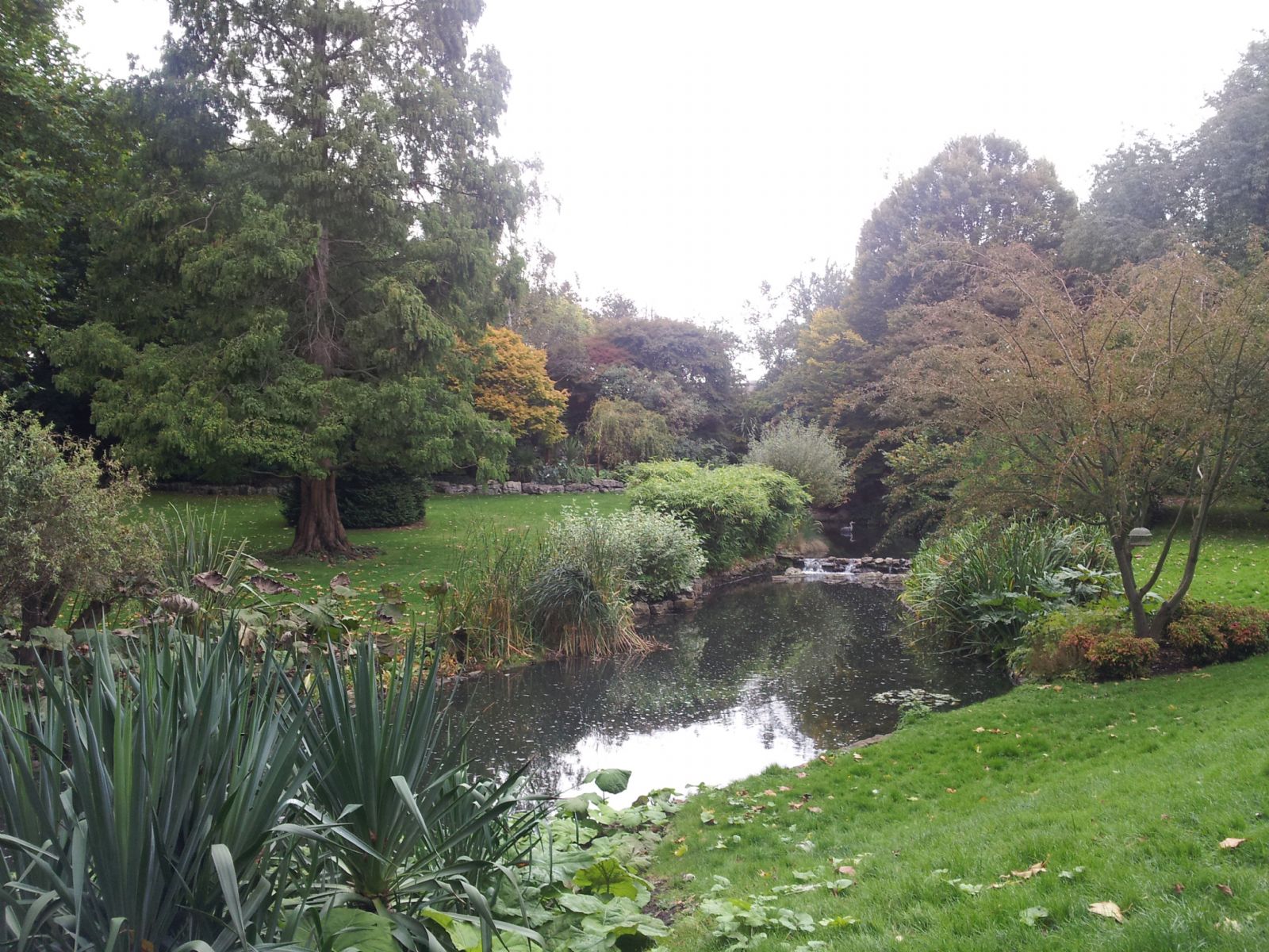 Hyde Park